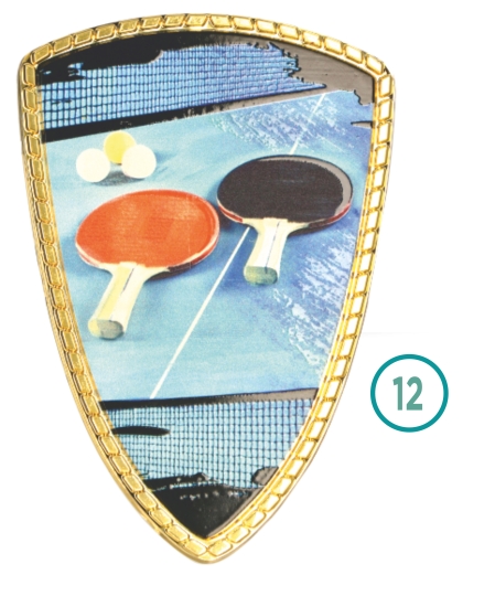 12-TENIS DE MESA