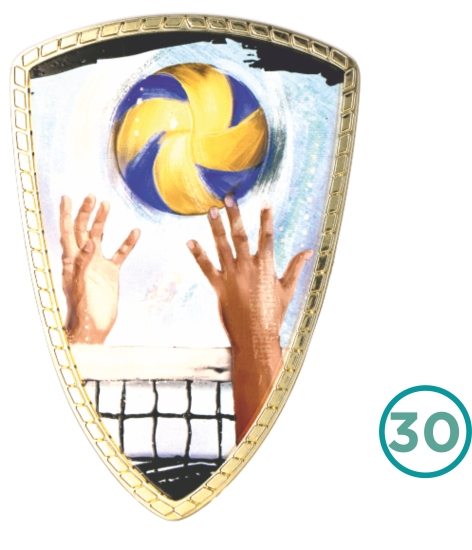 30-VOLEYBOL